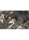 Titanium - Finition Granit Polie
